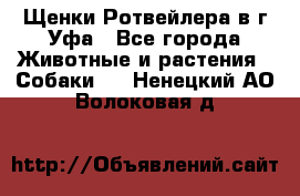 Щенки Ротвейлера в г.Уфа - Все города Животные и растения » Собаки   . Ненецкий АО,Волоковая д.